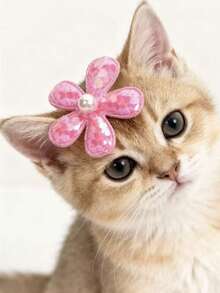 PETSIN 1 件装宠物珍珠花朵发夹；宠物卡通发夹；猫咪发夹；狗狗发夹；宠物配件；宠物用品。 - 彩色 - 查看 12