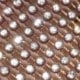 Chocolate Brown