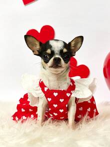 PETSIN 红色爱心印花宠物连衣裙，配白色蝴蝶结和翅膀褶边——可爱的情人节狗狗服装，适合小型犬和猫咪的夏季公主裙 - 紅色 - 查看 9