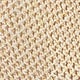 Apricot 1