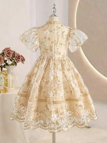SHEIN ChillGRL 1件少女优雅奢华金色刺绣网纱A字公主裙，适合派对、聚会、生日、春夏穿着 - 杏色 - 查看 2