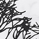 trắng
