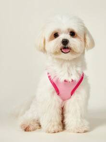 PETSIN 1pc Cherry Letter Printed Pet Vest, Breathable And Skin Friendly, Rose Red Pink Version - Multicolor - View 3