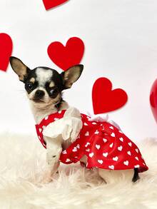 PETSIN 红色爱心印花宠物连衣裙，配白色蝴蝶结和翅膀褶边——可爱的情人节狗狗服装，适合小型犬和猫咪的夏季公主裙 - 紅色 - 查看 5