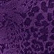 Violetti