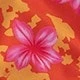 Nhiều màu