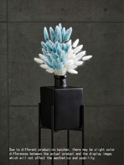 240 片蓝白相间的天然干花装饰，天然干兔尾草花，干芦苇草，可用于家居装饰、婚礼装饰、派对装饰、DIY 手工艺品、摄影道具和主题装饰。