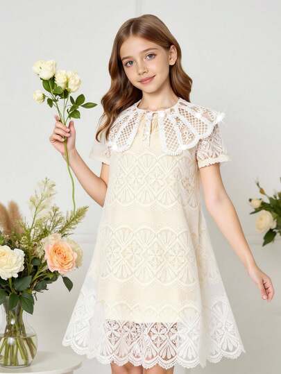Girls' Elegant Party Dress, Peter Pan Collar, Floral Embroidery, Comfortable, Cute & Chic, Suitable For All Seasons