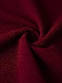 Ellevyn Angola Red Sleeveless Waist Cinched Dress, Elegant For Commuting, Office Dress - Burgundy - View 5