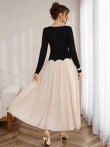 SHEIN LUNE Women's Knitted & Woven Fabric Round Neck Long Sleeve Fitted Waist Splice Mesh A-Line Dress,Black And Beige,Autumn,Elegant,Tea Party,Glamorous,Outing - Multicolor - View 3