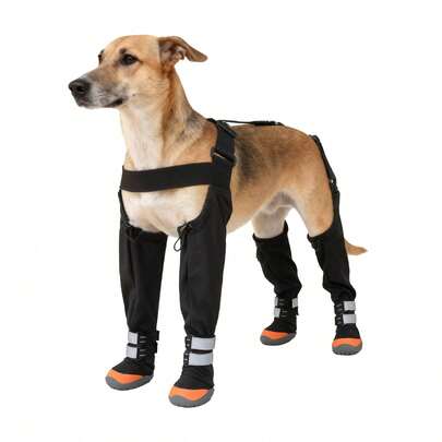 Non-Slip, Durable, And Paw-Protecting Dog Shoes; Essential Hard-Soled Dog Boots For Outdoor Activities.