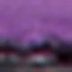 Purple Cross