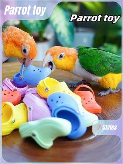 10 件鹦鹉咀嚼玩具拖鞋模型鸟玩具适用于春夏季鸟类磨牙清洁牙齿缓解高通风透明教育鸟类玩具训练玩具硅胶材料放心使用随机颜色