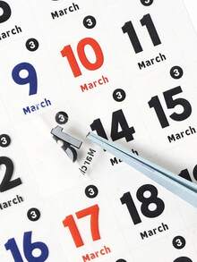 “永恒骏马 365 天每日日记贴纸” - 高品质宠物薄膜切割日记贴纸。 - 彩色 - 查看 1