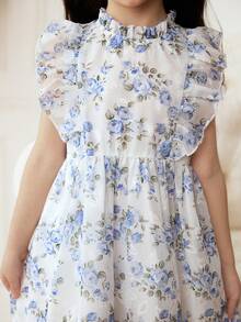 SHEIN Elladie kids Đầm hoa không tay dáng phồng in hình hoa hồng cho bé gái 2-5 tuổi, khóa kéo phía sau, thanh lịch, đa năng, ngọt ngào và dễ thương, kiểu đầm công chúa thích hợp mặc hàng ngày, mùa xuân/hè. - Màu xanh lam - Xem 8