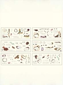 一套6张朱利安之梦创意贴纸，日记贴纸，宠物贴纸，胶片剪裁日记材料贴纸 - 套裝 - 查看 7