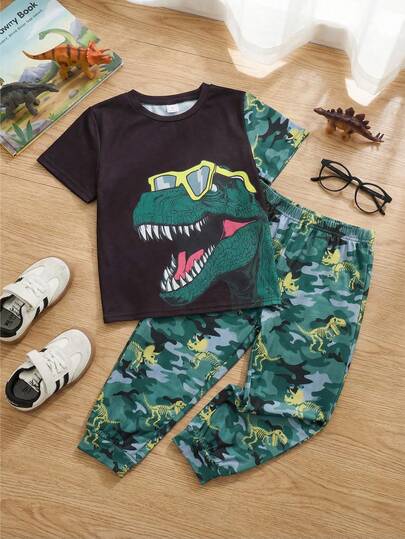 SHEIN 2pcs/Set Young Boy Camouflage Dinosaur Print Loose Raglan Crew Neck Pullover Top And Cargo Pants Outfit