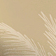 Màu Khaki