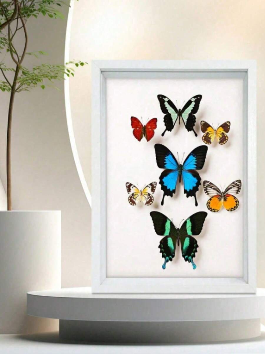 3D镂空玻璃框压花干花蝴蝶标本立体展示盒创意DIY墙面艺术家居装饰客厅卧室美学 - 白色 - 查看 1