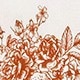 Brun