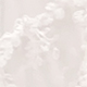 trắng
