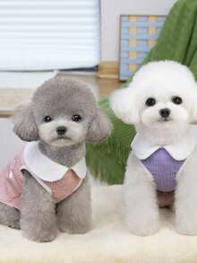 PETSIN 宠物服装、狗狗服装、猫咪连帽衫、休闲背心、春夏新品、小动物印花背心、酷炫休闲装、卡通连帽衫 - 彩色 - 查看 9