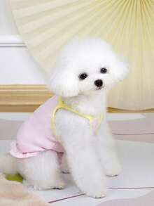 PETSIN Pet Clothing, Dog Clothing, Cat Camisole, Casual Vest, Spring And Summer New Item, Small Animal Camisole, Cool Casual Clothing, Fruit Cartoon Picture, That Cool Vest - Multicolor - View 13