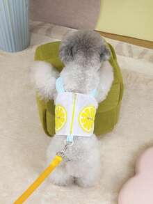 PETSIN Pet Chest And Back Skirt, Cat Traction Strap, Animal Collar Set, Pet Supplies Strap Skirt, Dog Walking Princess Skirt, Pet Chest And Back Skirt+Rope Sweet Princess SBritish Style Chest And Back Set - Multicolor - View 15