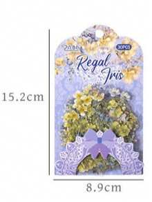 4pcs Europa Floral Ode PET Sticker Set | Cross-Border Journal Stickers For Student & DIY Scrapbook Supplies - suit - View 1