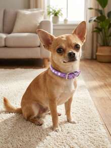 PETSIN Shiny Rhinestone Dog Collar Small And Medium-Sized Leather Pet Collar Adjustable Cat Collar - Light color - View 5