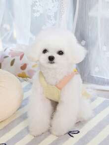 PETSIN Dog Clothing, Cat Clothing, Animal Skirts, Pet Spring/Summer New Collection, Puppy Dress, Princess Versatile Dress, Printed Stripes, Small Animal Clothing, Cool Sunscreen - Multicolor - View 4