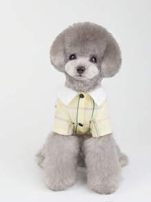 PETSIN Pet Versatile Skirts, Dog Clothing, Cat Clothing, Animal Clothing, Dog Clothing, Pet Supplies, Pet Couple Clothing, New Spring/Summer Small Skirts, T-Shirts, Couple Clothing, Four Leg Dog Clothing, Small Animal Supplies, Spring/Summer New Collection - Multicolor - View 13