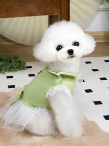 PETSIN 狗狗服装、猫咪服装、动物裙装、宠物春夏新品系列、幼犬连衣裙、公主风百搭连衣裙、条纹印花、小型动物服装、清凉防晒霜 - 彩色 - 查看 12