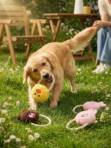 PETSIN 新款狗狗玩具绳索发声毛绒宠物玩具仿真寿司互动宠物用品摄影道具狗狗配件 - 彩色 - 查看 3