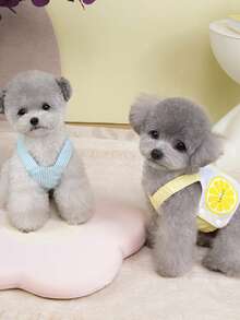 PETSIN Pet Chest And Back Skirt, Cat Traction Strap, Animal Collar Set, Pet Supplies Strap Skirt, Dog Walking Princess Skirt, Pet Chest And Back Skirt+Rope Sweet Princess SBritish Style Chest And Back Set - Multicolor - View 3