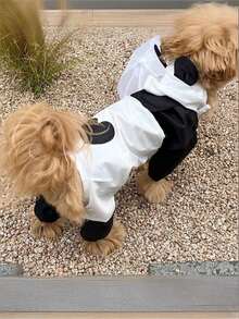 PETSIN Áo mưa chống thấm nước hình khủng long biến hình dành cho chó Bichon Frise, Teddy Bear và các giống chó nhỏ - Quần áo chống thấm nước - Nhiều màu - Xem 5