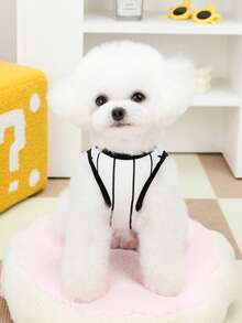 PETSIN 宠物春季新款狗狗服装 动物用品 宠物服装 狗狗背心 猫咪T恤 泰迪熊套装 小型动物服装 休闲酷炫背心 狗狗服装 猫咪服装 春夏两季新款背心 - 彩色 - 查看 8