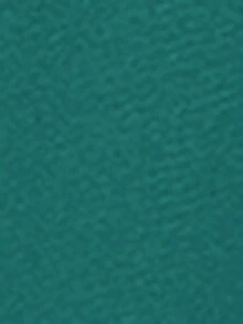 SHEIN Clasi Plus Size Elegant Round Neck Jumpsuit With Waist Belt And Wide Leg - Teal Blue - View 6