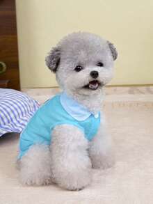 宠物春季新款狗狗服装 动物用品 宠物服装 狗狗背心 猫咪T恤 泰迪熊套装 小型动物服装 休闲酷炫背心 狗狗服装 猫咪服装 春夏两季新款背心 - 彩色 - 查看 12