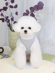 PETSIN 宠物春季新款狗狗服装 动物用品 宠物服装 狗狗背心 猫咪T恤 泰迪熊套装 小型动物服装 休闲酷炫背心 狗狗服装 猫咪服装 春夏两季新款背心 - 彩色 - 查看 11