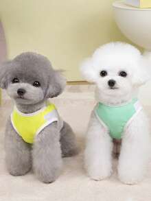 PETSIN 宠物春季新款狗狗服装 动物用品 宠物服装 狗狗背心 猫咪T恤 泰迪熊套装 小型动物服装 休闲酷炫背心 狗狗服装 猫咪服装 春夏两季新款背心 - 彩色 - 查看 10