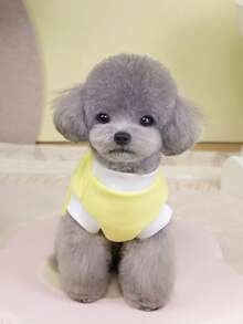 PETSIN Pet Clothing, Dog Clothing, Cat Hoodie, Casual Vest, Spring And Summer New Item, Small Animal Printed Vest, Cool Casual Wear, Cartoon Hoodie - Multicolor - View 7