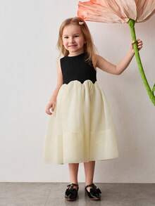 Maija Kids Young Girl Knitted Jacquard Contrast Mesh Round Neck Sleeveless Cute Dress - Multicolor - View 1