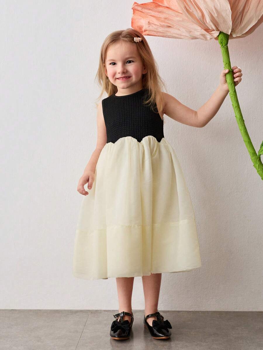 Maija Kids Young Girl Knitted Jacquard Contrast Mesh Round Neck Sleeveless Cute Dress - Multicolor - View 1