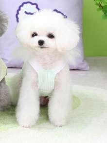 PETSIN 狗狗服装、猫咪服装、动物裙装、宠物春夏新品系列、幼犬连衣裙、公主风百搭连衣裙、条纹印花、小型动物服装、清凉防晒霜 - 彩色 - 查看 11