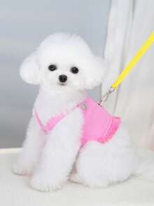 PETSIN 宠物春季新款狗狗服装 动物用品 宠物服装 狗狗背心 猫咪T恤 泰迪熊套装 小型动物服装 休闲酷炫背心 狗狗服装 猫咪服装 春夏两季新款背心 - 彩色 - 查看 15