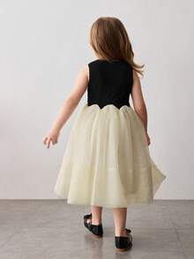 Maija Kids Young Girl Knitted Jacquard Contrast Mesh Round Neck Sleeveless Cute Dress - Multicolor - View 7