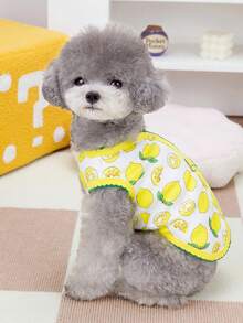 PETSIN 宠物春季新款狗狗服装 动物用品 宠物服装 狗狗背心 猫咪T恤 泰迪熊套装 小型动物服装 休闲酷炫背心 狗狗服装 猫咪服装 春夏两季新款背心 - 彩色 - 查看 6