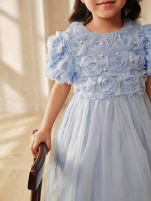 SHEIN Glamorique Kids 女童刺绣仿珍珠网纱纯色短袖连衣裙 - 藍色 - 查看 5