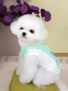 PETSIN 宠物春季新款狗狗服装 动物用品 宠物服装 狗狗背心 猫咪T恤 泰迪熊套装 小型动物服装 休闲酷炫背心 狗狗服装 猫咪服装 春夏两季新款背心 - 彩色 - 查看 14